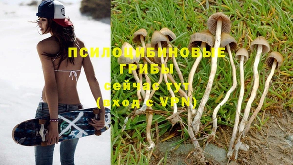героин Ельня