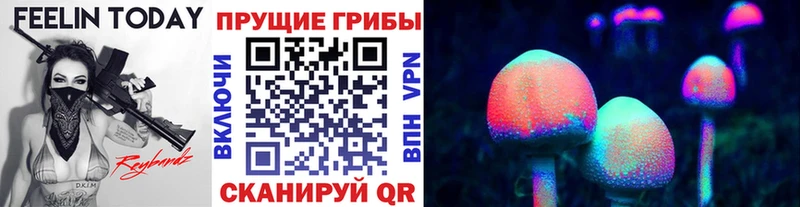 Купить  Салават  Псилоцибиновые грибы Magic Shrooms 